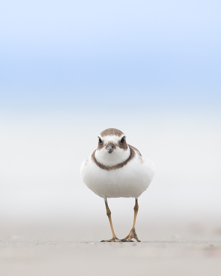 Click to see more details