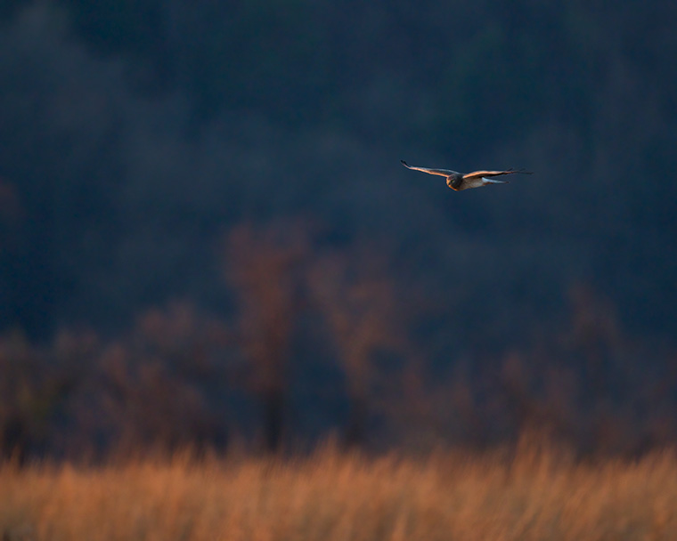 Click to see more details