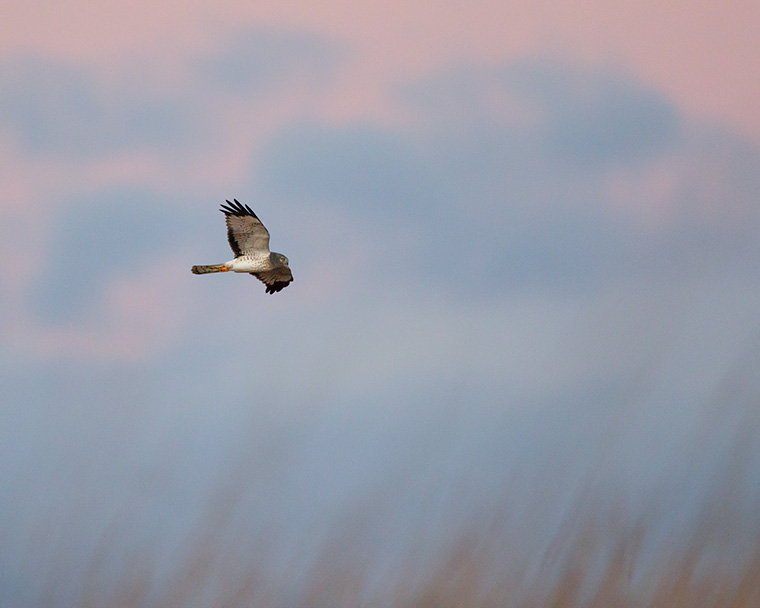 Click to see more details