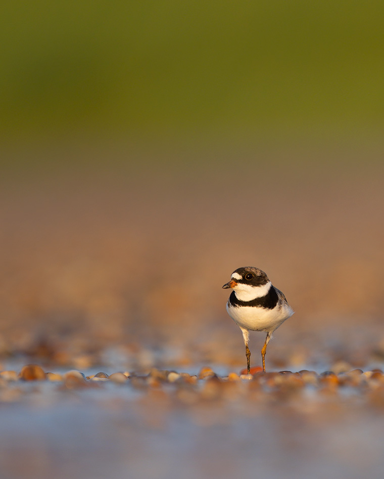 Click to see more details