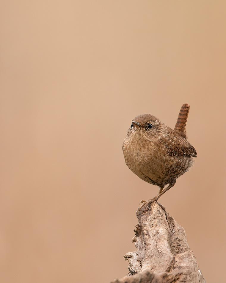 Click to see more details