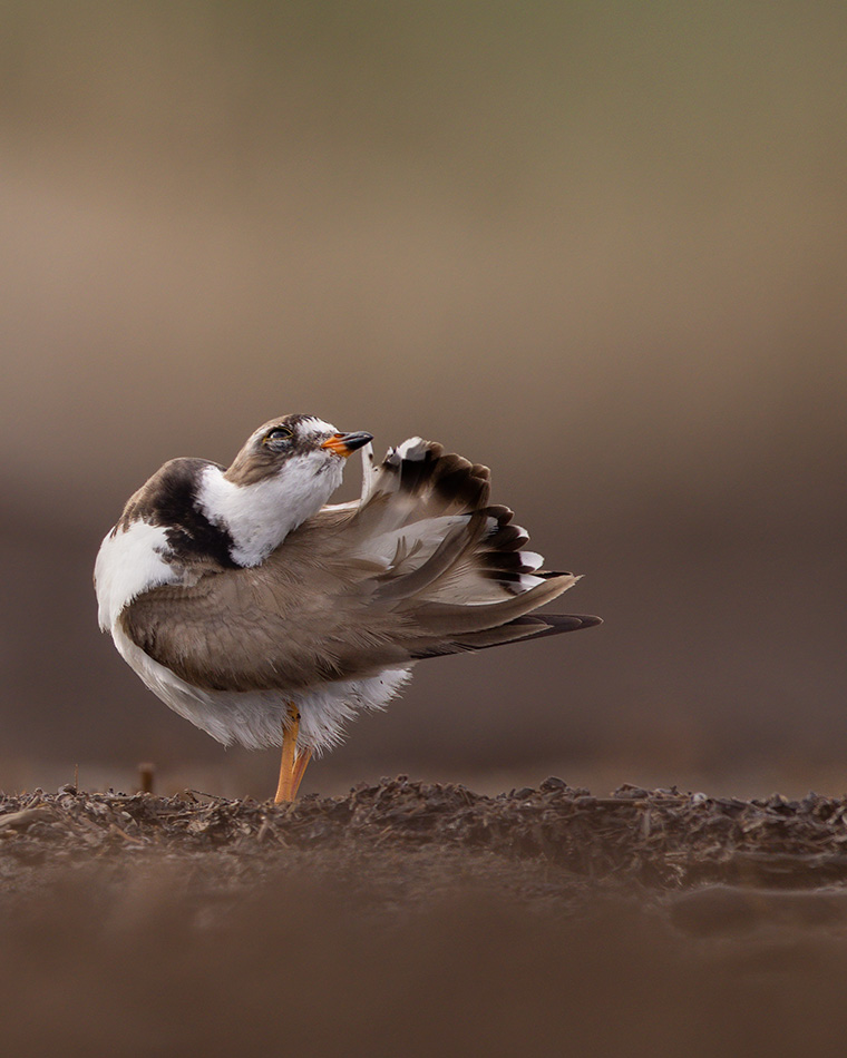 Click to see more details