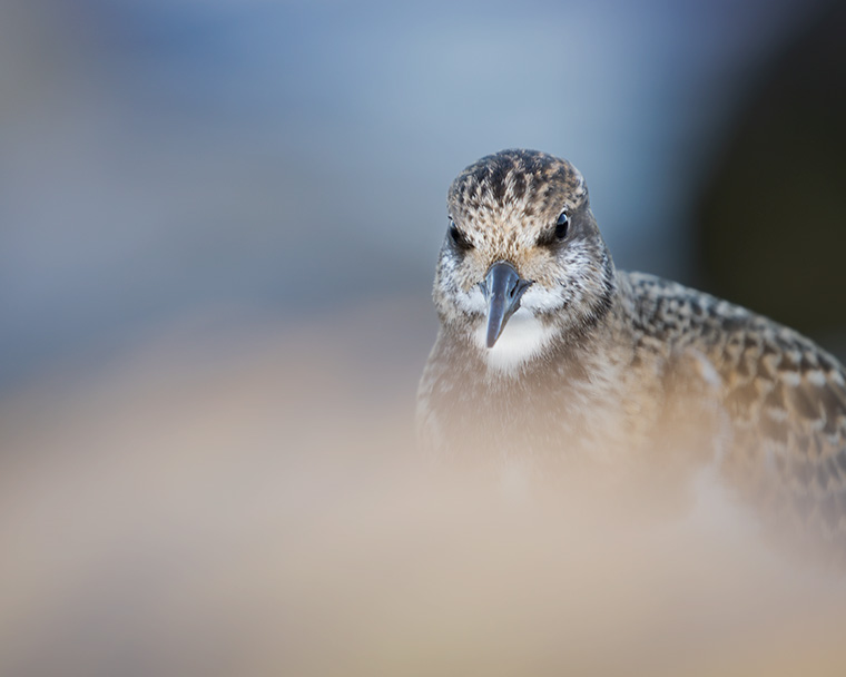 Click to see more details