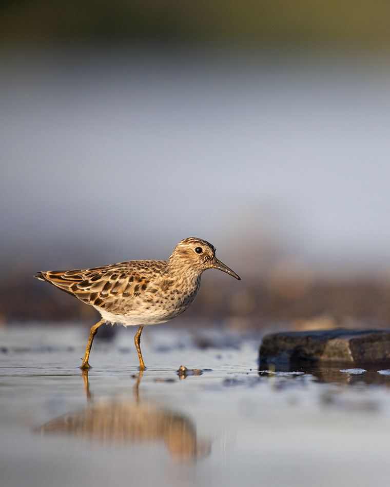 Click to see more details