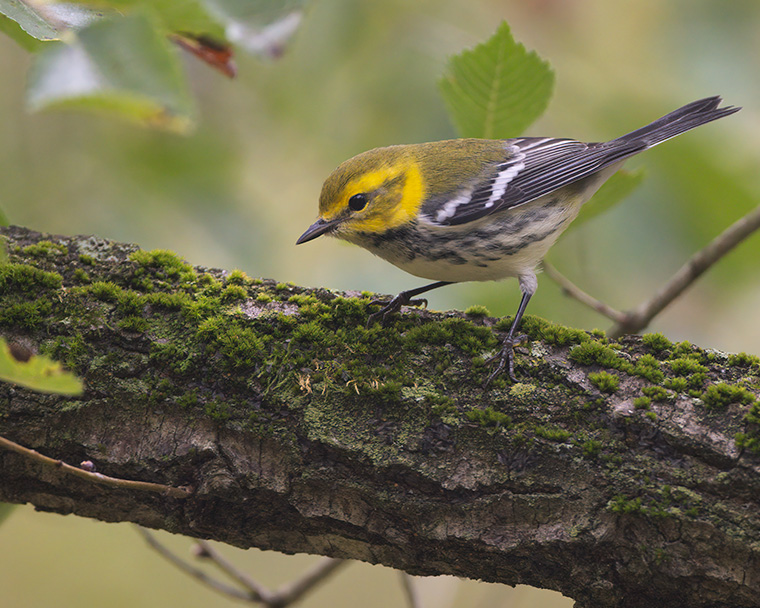 Click to see more details