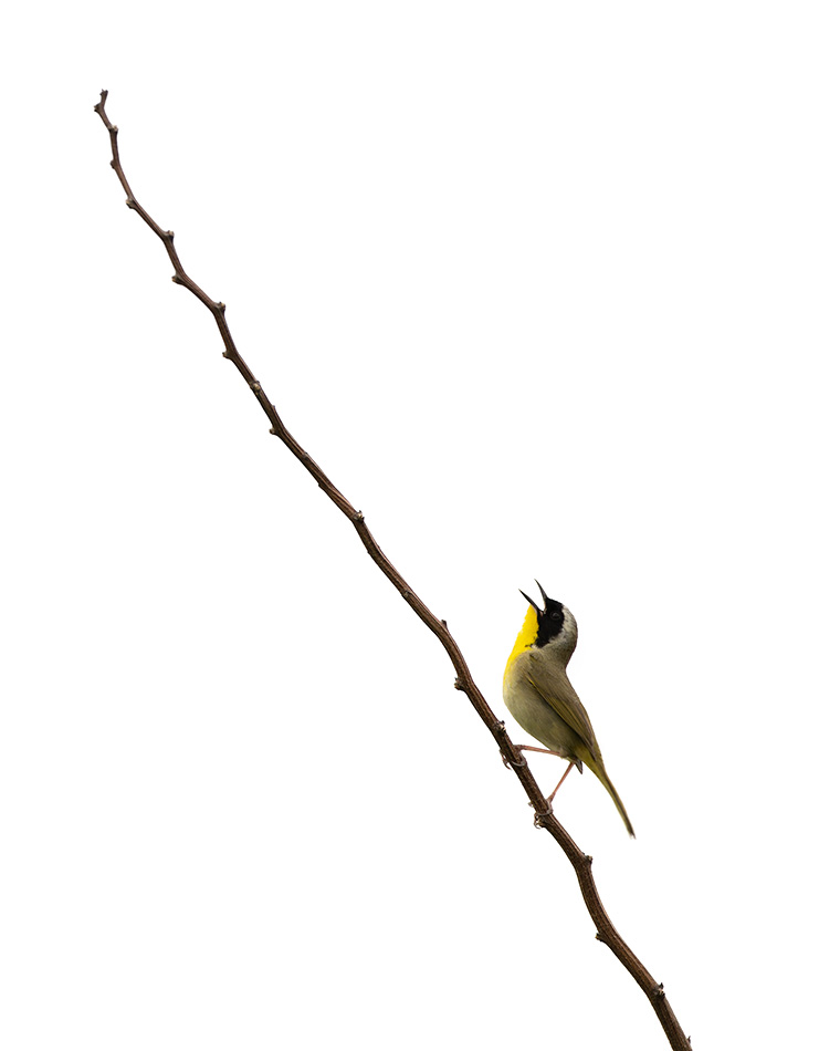 Click to see more details