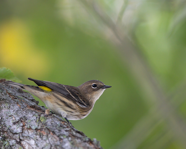 Click to see more details