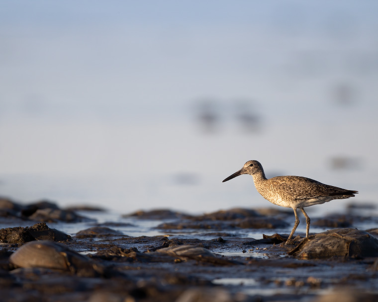 Click to see more details