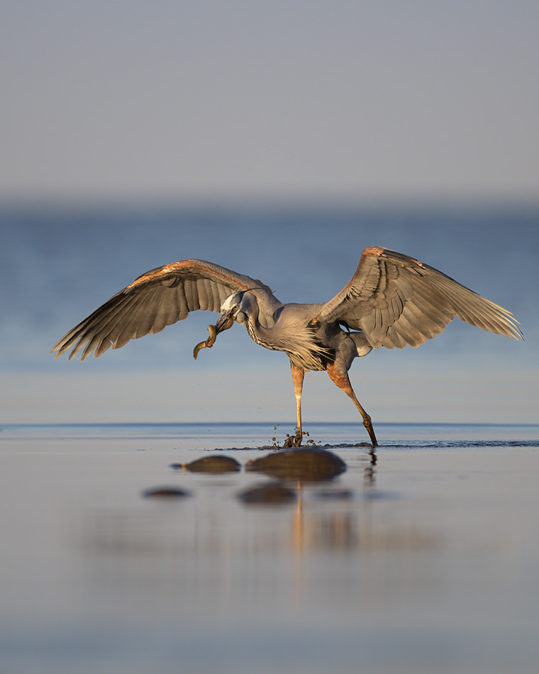 Click to see more details